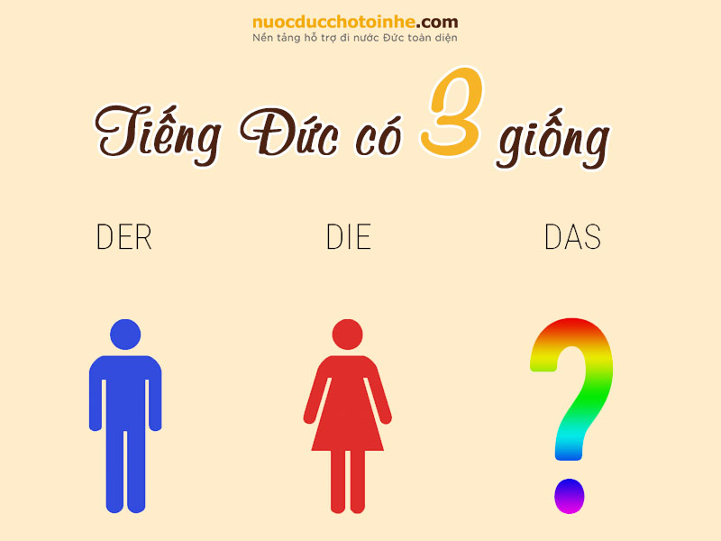 Tiếng Đức có 3 giống